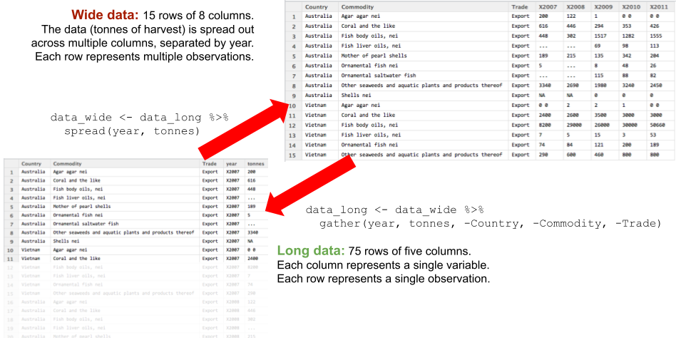 wide data to long data using gather() and spread()