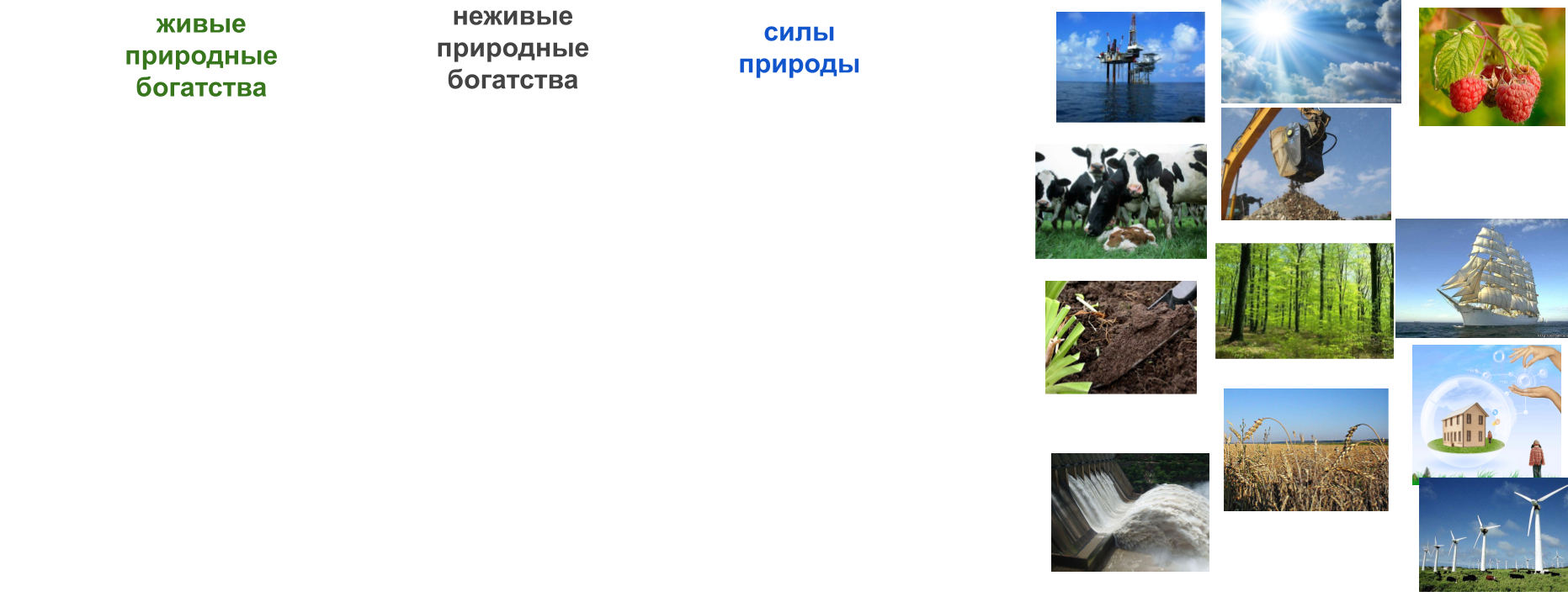 Природные богатства заполни схему окружающий мир. Богатства природы. Природные богатства задание. Города которые связаны с природой богатства. Природные богатства Кемерово.