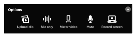 Screen capture of Flipgrid Options menu
