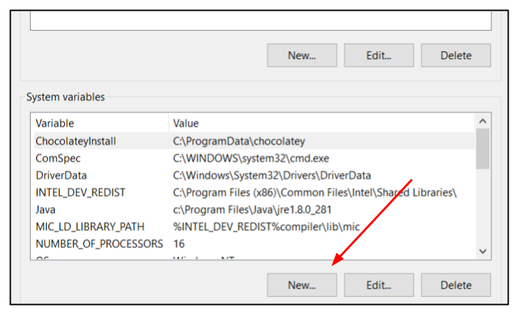 Screen capture of Window System variables window