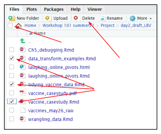 Screen capture of R server file browser with files selected for deletion