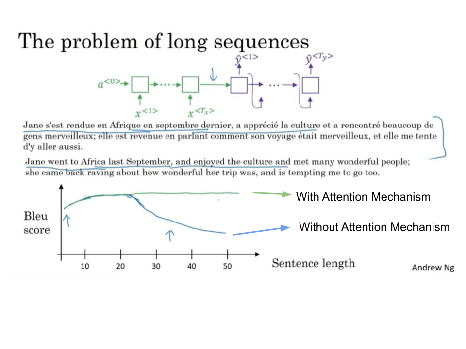 BLEU score vs Sequence length