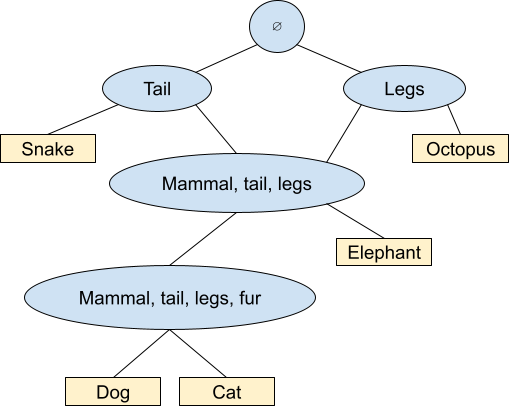 animal taxonomy