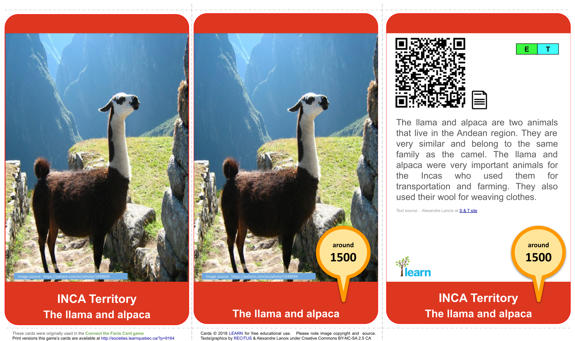 Inca: The llama and alpaca
