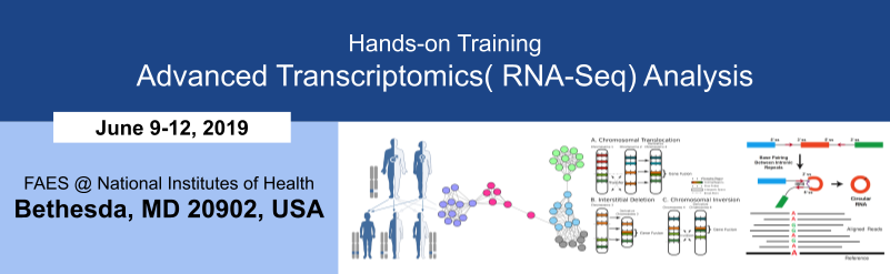 Advanced Transcriptomics (RNA-Seq) Analysis