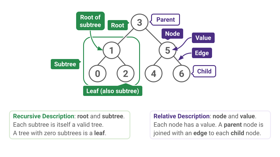 Tree Terminology