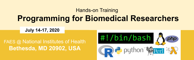 Programming for Biomedical Researchers