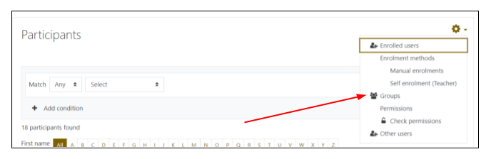 Screen image of Participants page with drop-down menu below settings gear icon with arrow pointing to the Groups menu item