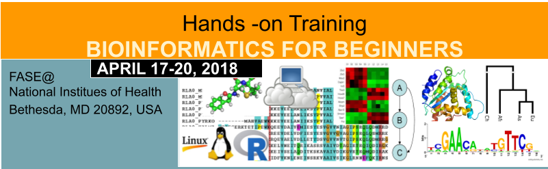 Training in Bioinformatics for Beginners