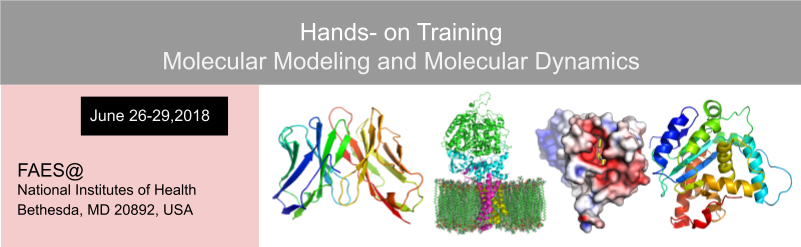 molecular modeling