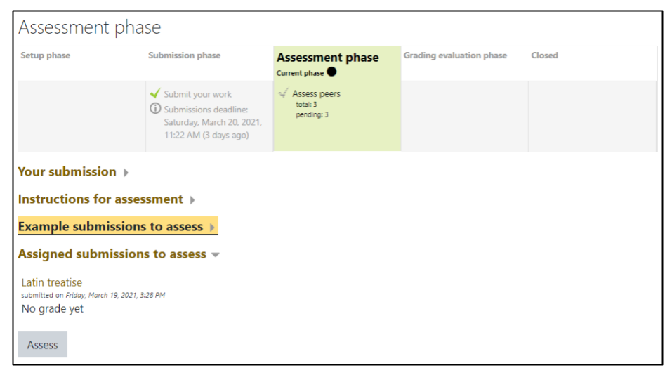 Screen capture of Moodle Workshop Assessment phase student view