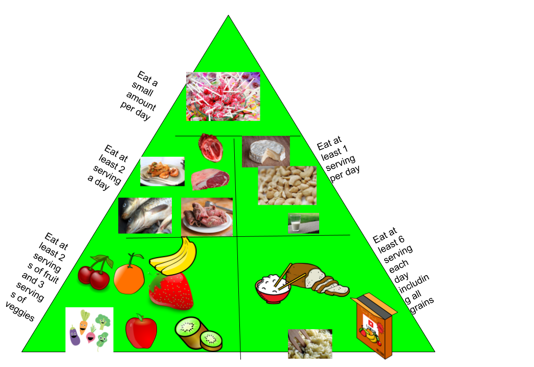 food-pyramid-grade-7