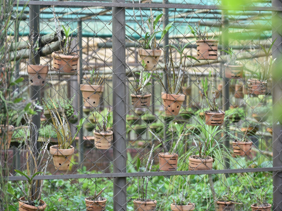 Greenhouse at  Botanical Garden