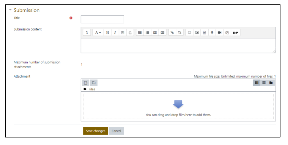 Screen capture of Moodle Workshop example submission page