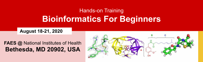 Bioinformatics for Beginners 