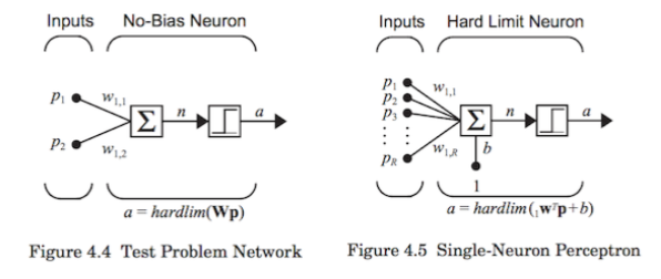 Perceptron Network Architecture