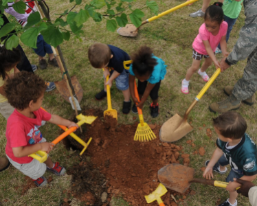 Gardening Therapy