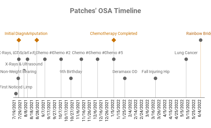 Patches' OSA Tineline