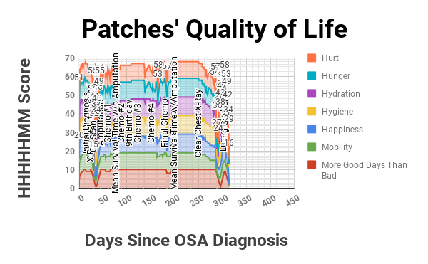 Patches' Quality of Life Profile