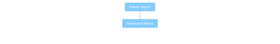 Organigramme de Police